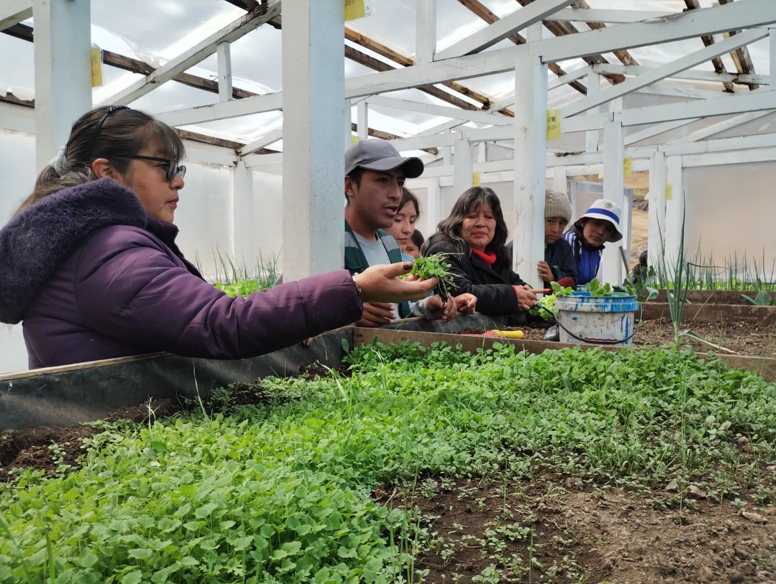 ESTUDIANTES DE LA I.E JAVIER PÉREZ DE CUELLAR APRENDEN Y SE DIVIERTEN EN EL TALLER DE BIOHUERTO ÓRGANICO 