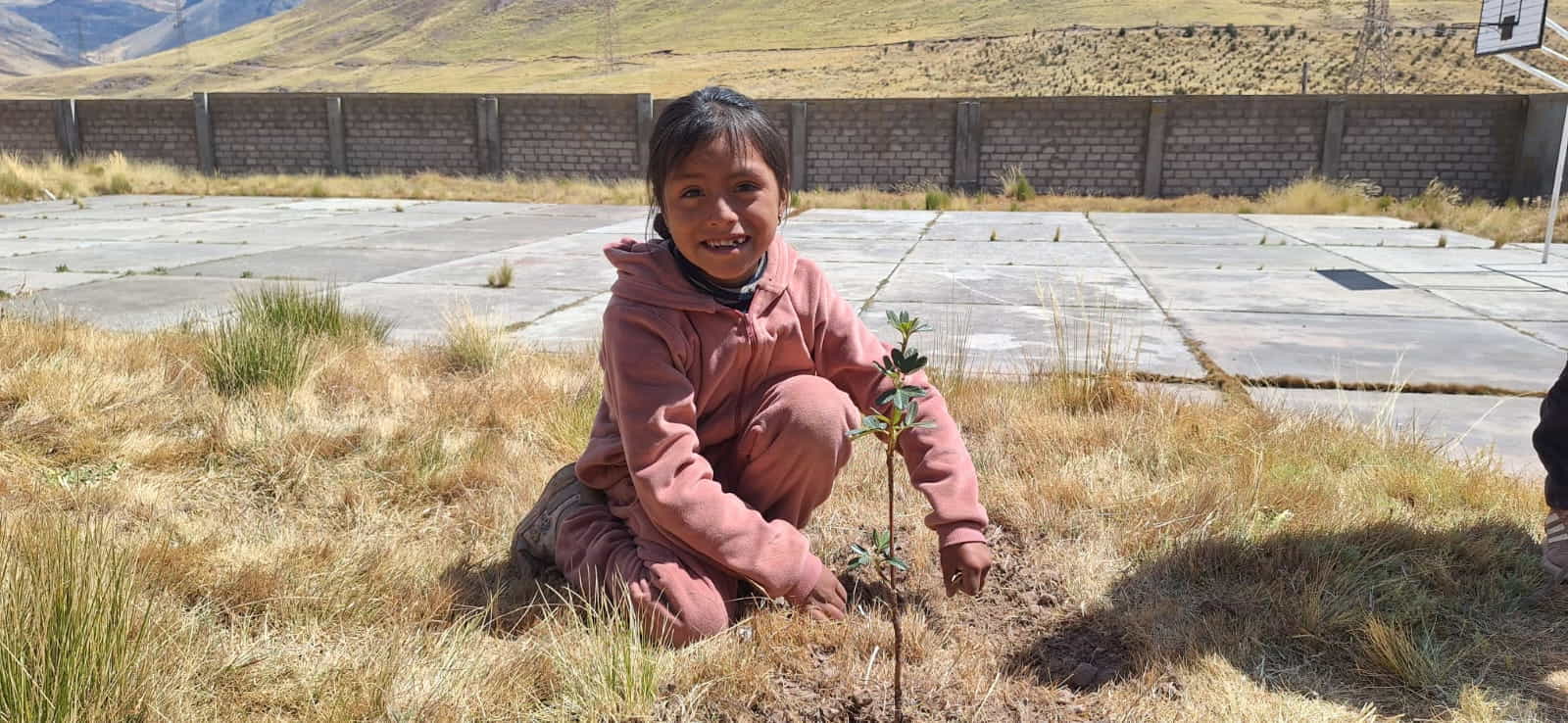 ESTUDIANTES DEL ANEXO DE POMACOCHA REALIZÁN PLANTACIÓN DE QUINUALES.